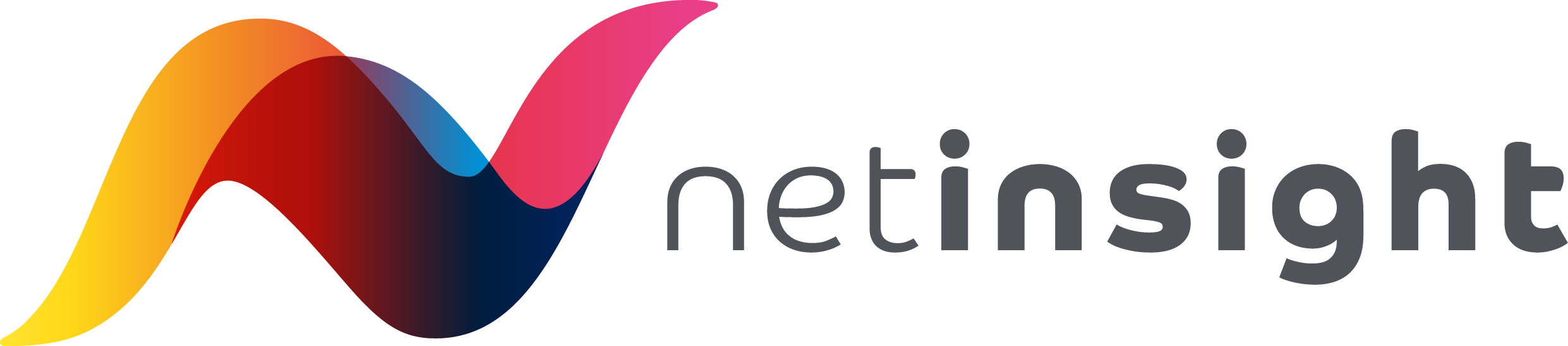 Netinsight Alternative logotype